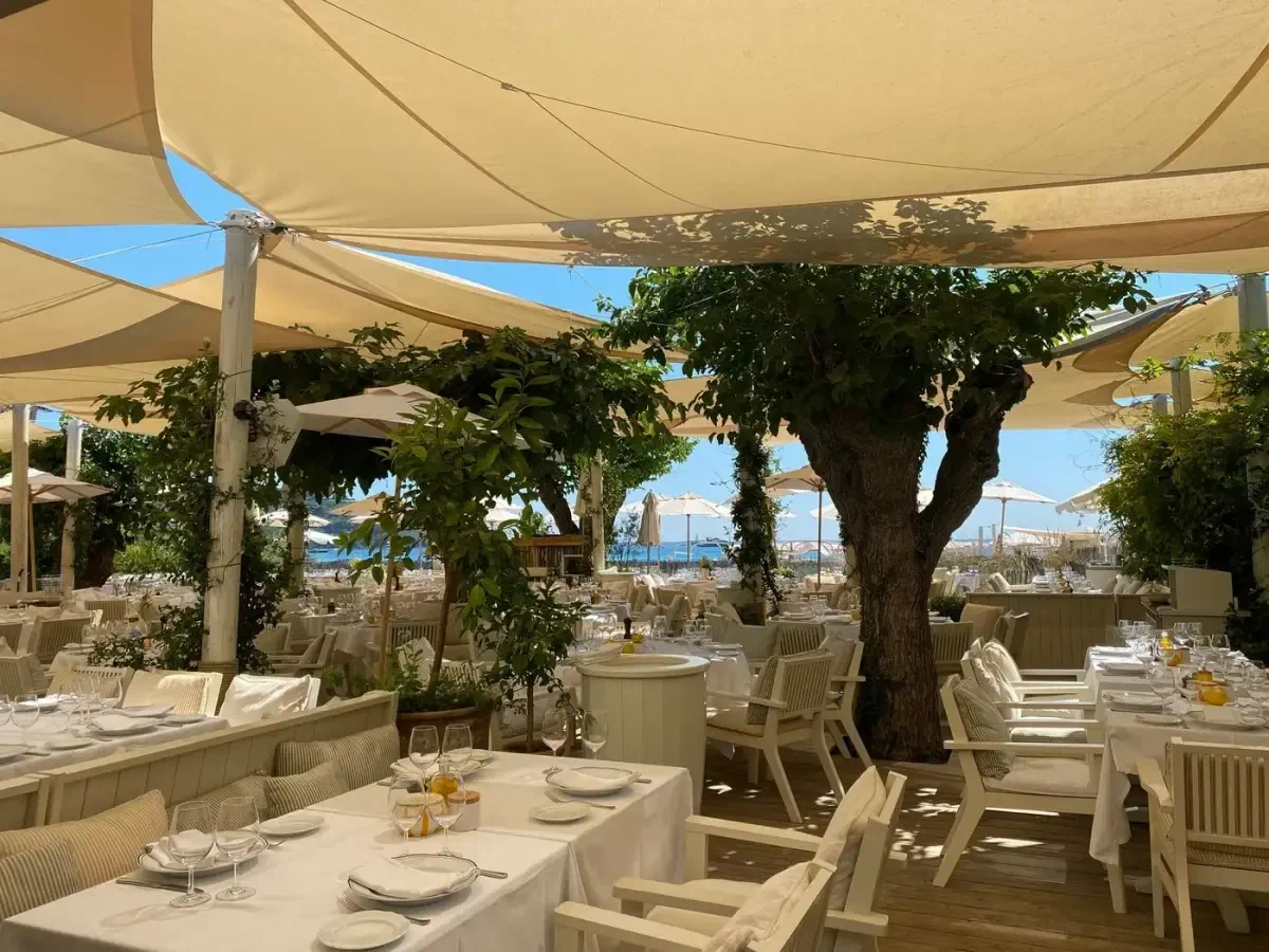 Tables laid under trees at a beach restaurant before service.