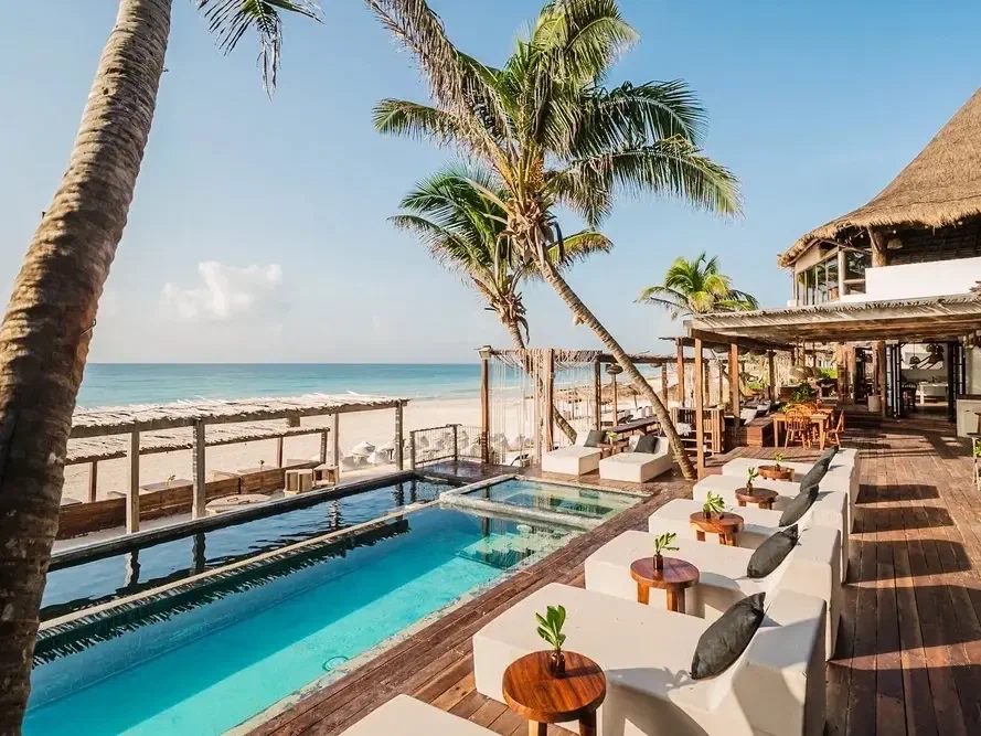 A long pool on a timber deck, palms along one side, early in the day.